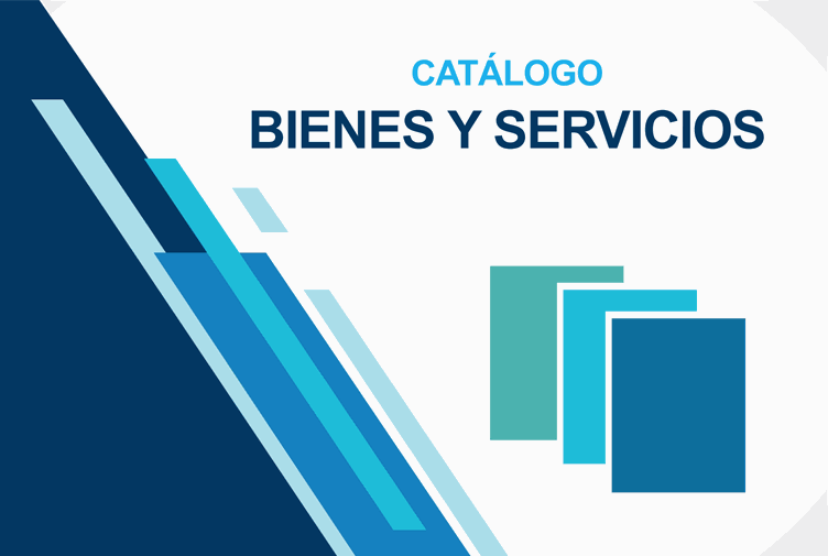 Catalogo de Bienes y Servicios (Cabys) | ERP506